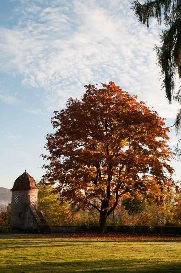 Zimmervermietung Vock Eschwege Exterior foto